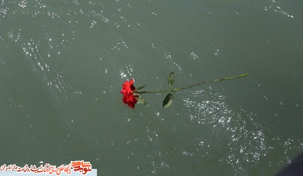 نثار گل های سرخ بر آب های خزر به یاد «شهدای کشتی سانچی و شهدای خبرنگار»