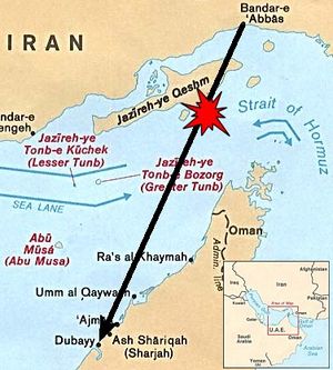 رحلة الشهداء برقم 655 من طهران - بندر عباس - دبي شاهد على الارهاب الامريكي الدولي