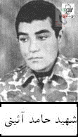 شهید حامد آئینی